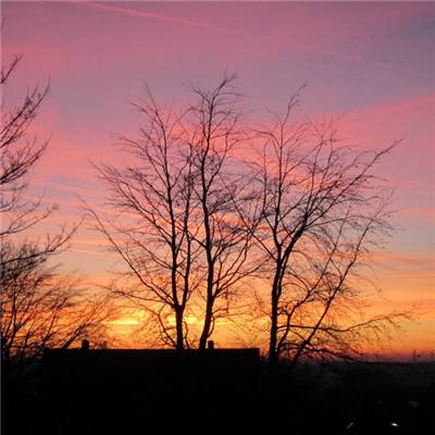 澳门第一娱乐娱城官网下载手机版截图